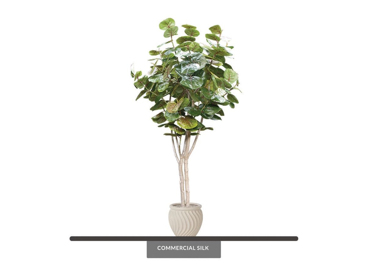 Sea Grape Tree Fake Indoor Tree Commercial Silk