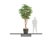 Black Olive Tree | Faux Potted Indoor Tree | Commercial Silk