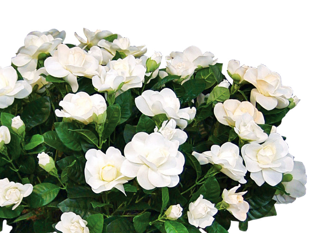 Artificial Gardenia Plant Fake Gardenia Flower Commercial Silk